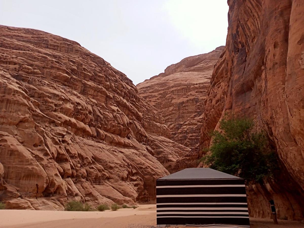 Shahrazad Desert, ワディ ・ラム エクステリア 写真