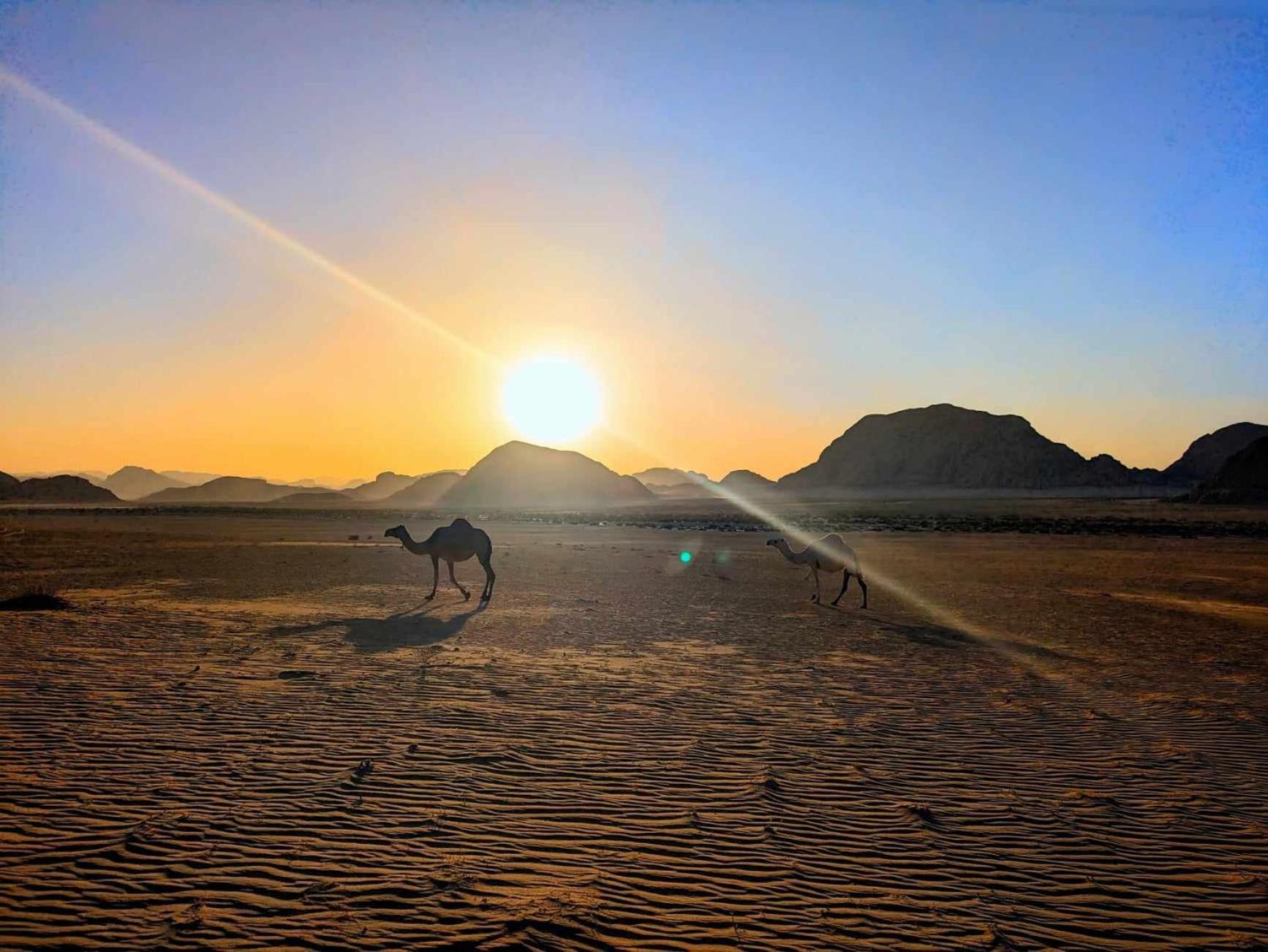 Shahrazad Desert, ワディ ・ラム エクステリア 写真